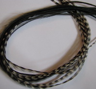 ���� Dry Fly (��� ����� ���) 10 �� Black/Gold/Grizzly Var.  ������ � 10-12